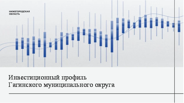 В Нижегородской области актуализировали инвестиционные профили муниципалитетов